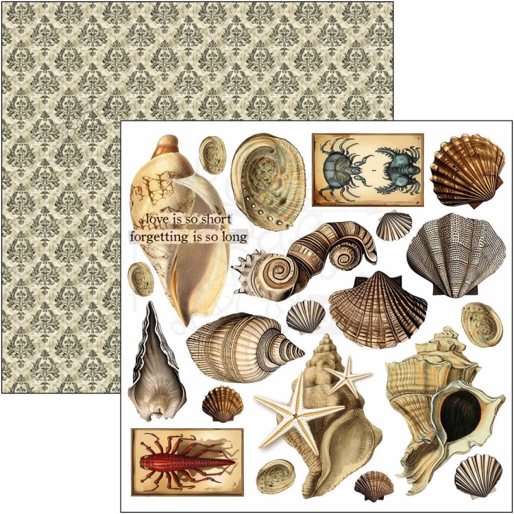 Zestaw papierów do scrapbookingu 15x15 Cabinet of Curiosites CBQE085 Ciao Bella