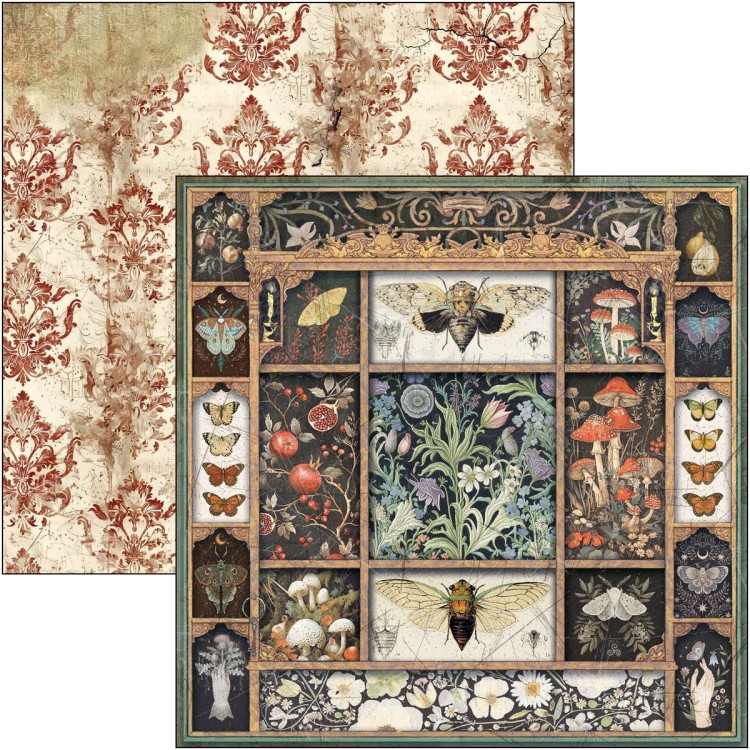 Zestaw papierów do scrapbookingu 30x30 Cabinet of Curiosites CBT085 Ciao Bella