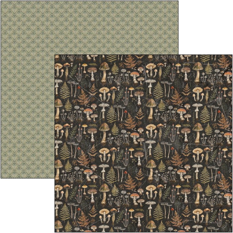 Zestaw papierów do scrapbookingu 30x30 Cabinet of Curiosites CBT085 Ciao Bella
