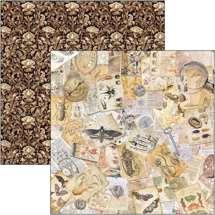 Zestaw papierów do scrapbookingu 30x30 Cabinet of Curiosites CBT085 Ciao Bella
