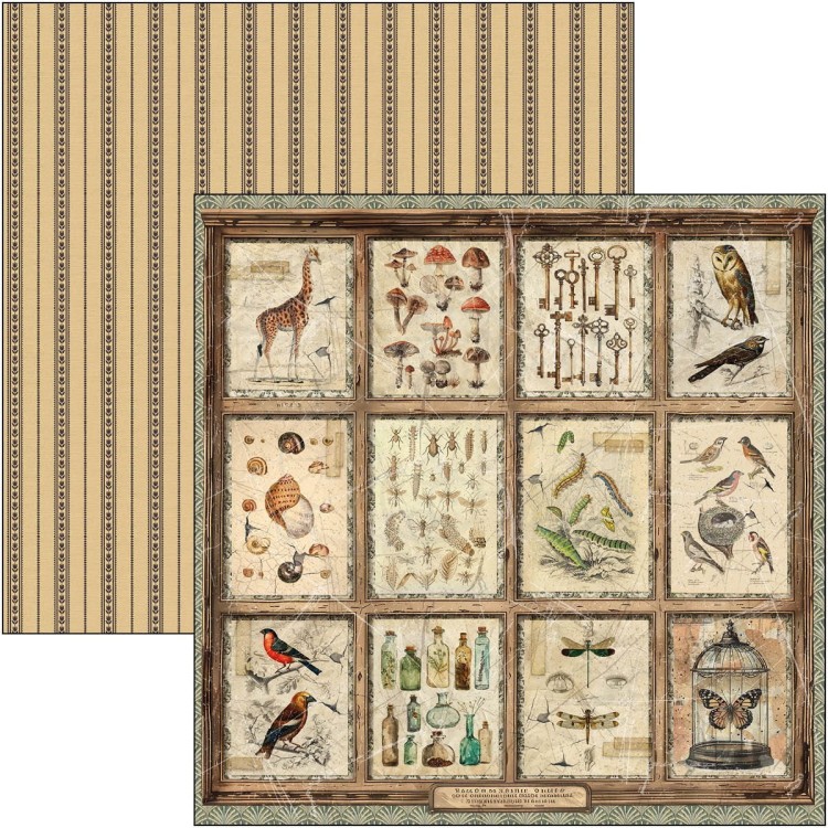 Zestaw papierów do scrapbookingu 30x30 Cabinet of Curiosites CBT085 Ciao Bella