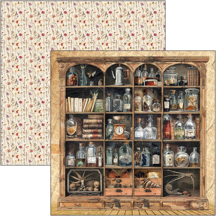 Zestaw papierów do scrapbookingu 30x30 Cabinet of Curiosites CBT085 Ciao Bella