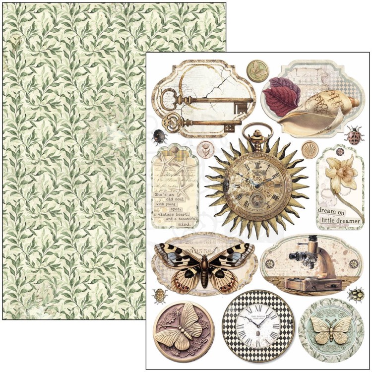 Zestaw papierów do scrapbookingu A4 Cabinet of Curiosites CBCL085 Ciao Bella