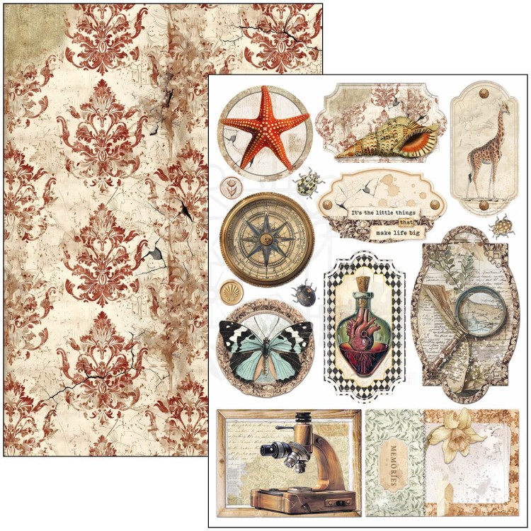 Zestaw papierów do scrapbookingu A4 Cabinet of Curiosites CBCL085 Ciao Bella