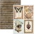 Zestaw papierów do scrapbookingu A4 Cabinet of Curiosites CBCL085 Ciao Bella