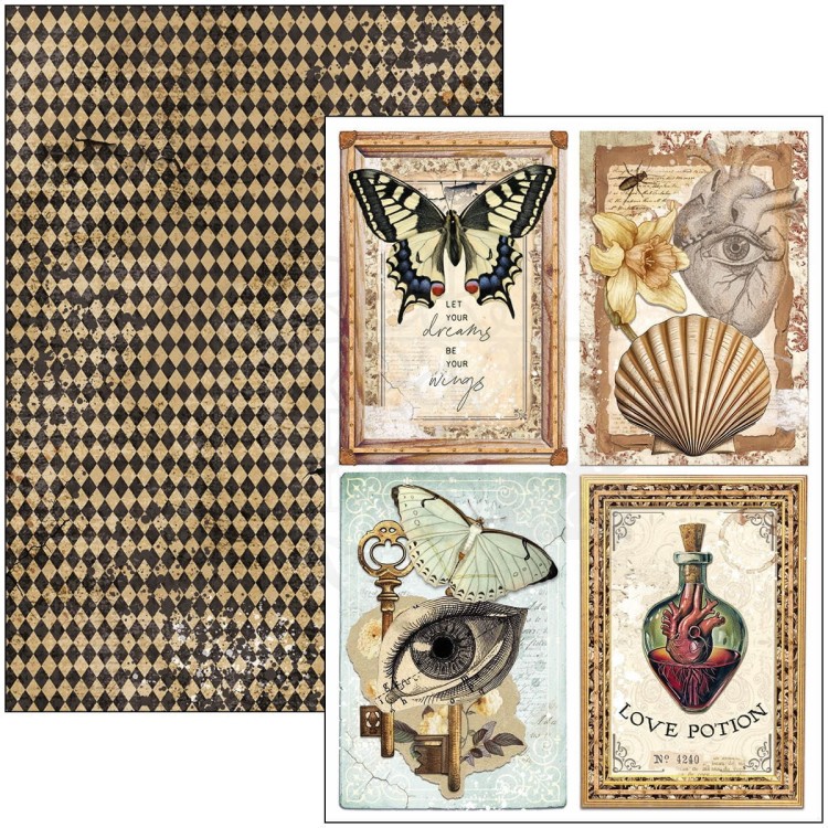 Zestaw papierów do scrapbookingu A4 Cabinet of Curiosites CBCL085 Ciao Bella