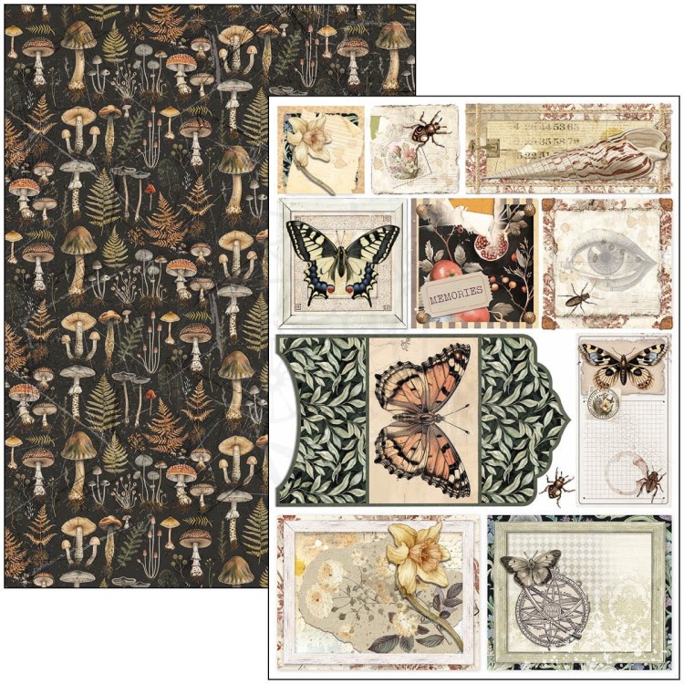 Zestaw papierów do scrapbookingu A4 Cabinet of Curiosites CBCL085 Ciao Bella