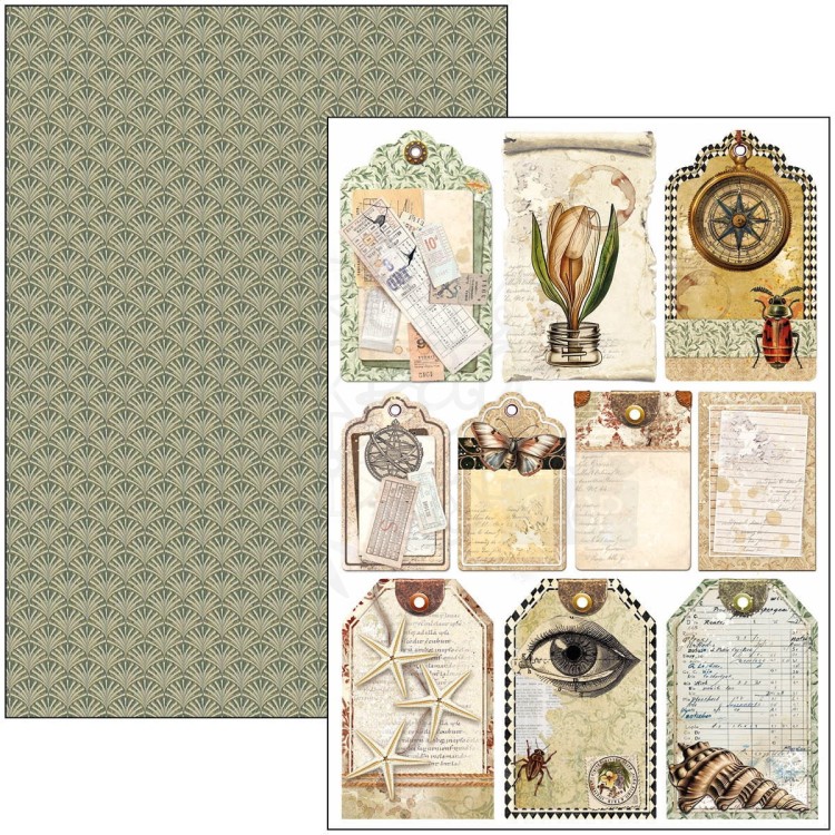 Zestaw papierów do scrapbookingu A4 Cabinet of Curiosites CBCL085 Ciao Bella