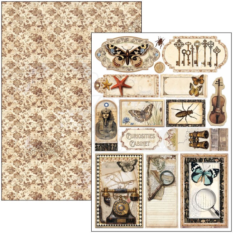 Zestaw papierów do scrapbookingu A4 Cabinet of Curiosites CBCL085 Ciao Bella