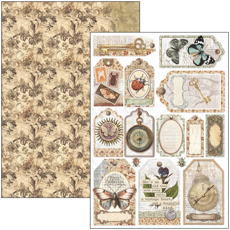Zestaw papierów do scrapbookingu A4 Cabinet of Curiosites CBCL085 Ciao Bella