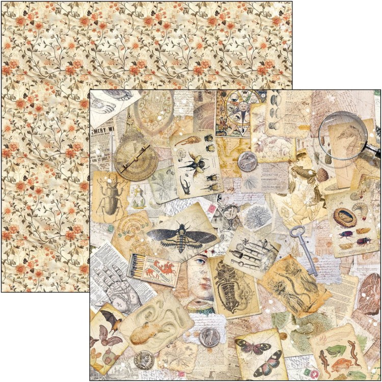 Zestaw papierów do scrapbookingu 20x20 Cabinet of Curiosites CBH085 Ciao Bella