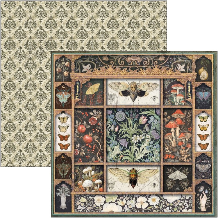 Zestaw papierów do scrapbookingu 20x20 Cabinet of Curiosites CBH085 Ciao Bella