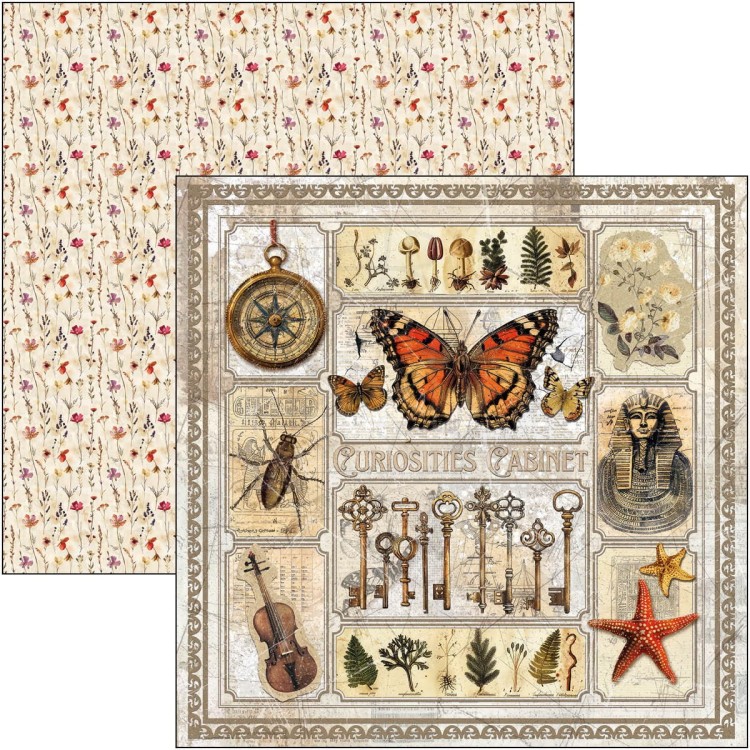 Zestaw papierów do scrapbookingu 20x20 Cabinet of Curiosites CBH085 Ciao Bella