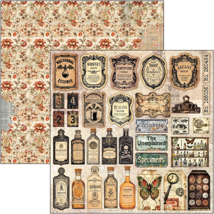 Zestaw papierów do scrapbookingu 20x20 Cabinet of Curiosites CBH085 Ciao Bella