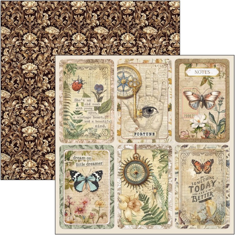 Zestaw papierów do scrapbookingu 20x20 Cabinet of Curiosites CBH085 Ciao Bella