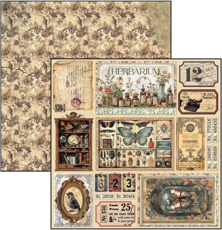 Zestaw papierów do scrapbookingu 20x20 Cabinet of Curiosites CBH085 Ciao Bella