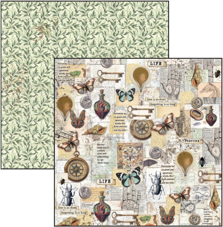 Zestaw papierów do scrapbookingu 20x20 Cabinet of Curiosites CBH085 Ciao Bella
