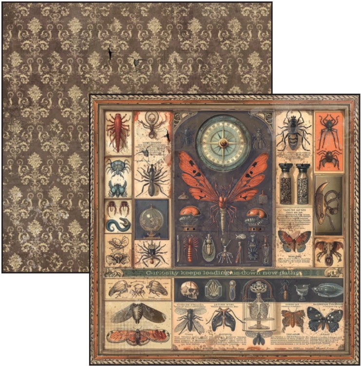 Zestaw papierów do scrapbookingu 20x20 Cabinet of Curiosites CBH085 Ciao Bella