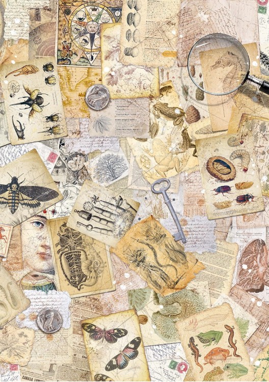 Zestaw papierów ryżowych A5 Cabinet of Curiosites 8 arkuszy CBRS010 Ciao Bella