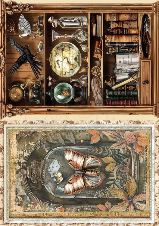 Zestaw papierów ryżowych A5 Cabinet of Curiosites 8 arkuszy CBRS010 Ciao Bella