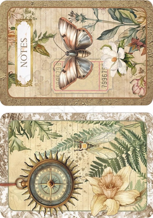 Zestaw papierów ryżowych A5 Cabinet of Curiosites 8 arkuszy CBRS010 Ciao Bella