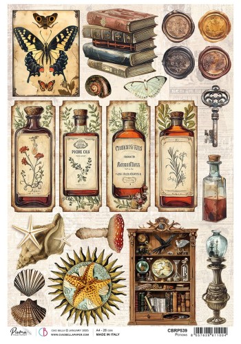 Papier ryżowy do decoupage A4 Cabinet of Curiosites Potions CBRP539 Ciao Bella