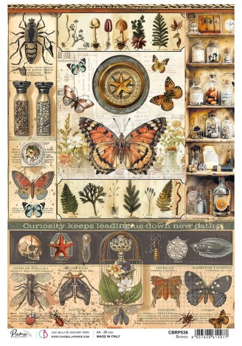 Papier ryżowy do decoupage A4 Cabinet of Curiosites Science CBRP536 Ciao Bella
