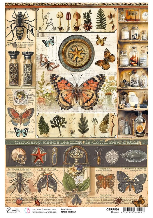 Papier ryżowy do decoupage A4 Cabinet of Curiosites Science CBRP536 Ciao Bella