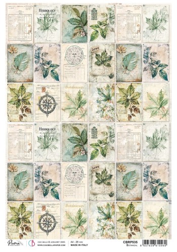 Papier ryżowy do decoupage A4 Cabinet of Curiosites Botanical CBRP535 Ciao Bella