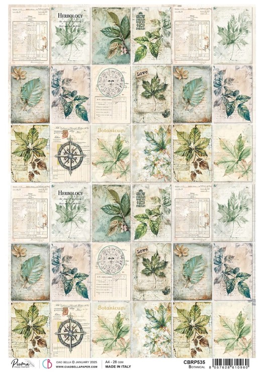 Papier ryżowy do decoupage A4 Cabinet of Curiosites Botanical CBRP535 Ciao Bella