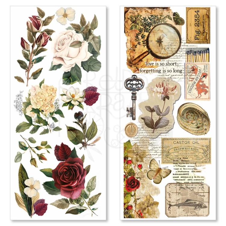 Naklejki foliowe do scrapbookingu Cabinet of Curiosites 5 arkuszy CBI001 Ciao Bella