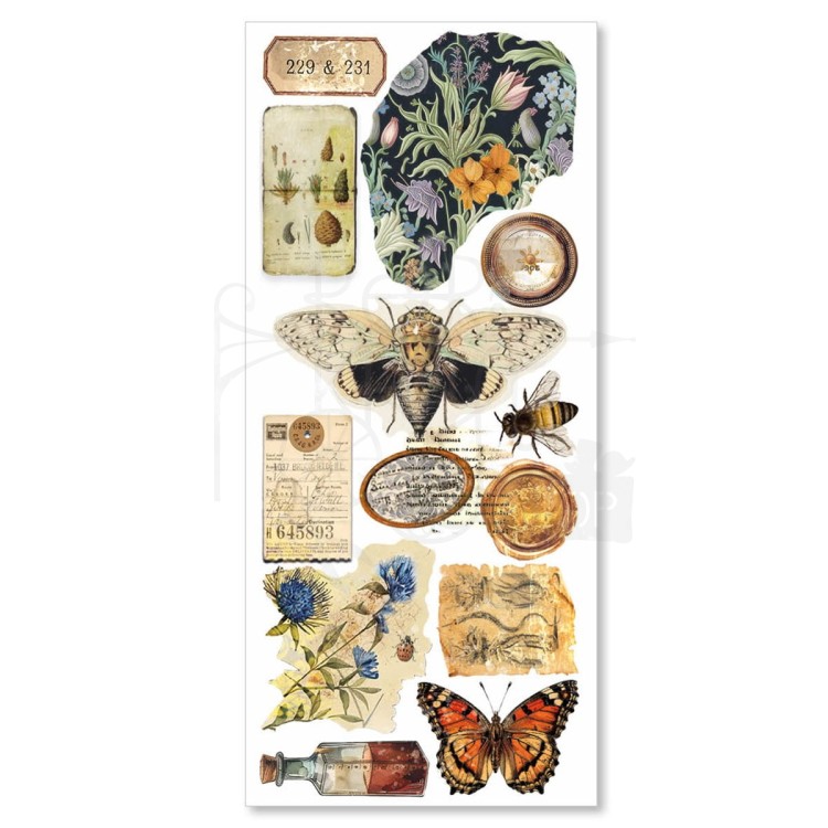 Naklejki foliowe do scrapbookingu Cabinet of Curiosites 5 arkuszy CBI001 Ciao Bella