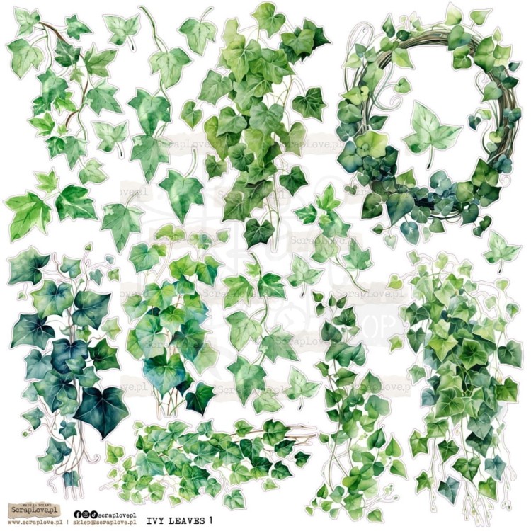 Naklejki papierowe do scrapbookingu i art journalingu Ivy Leaves 1 ScrapLove