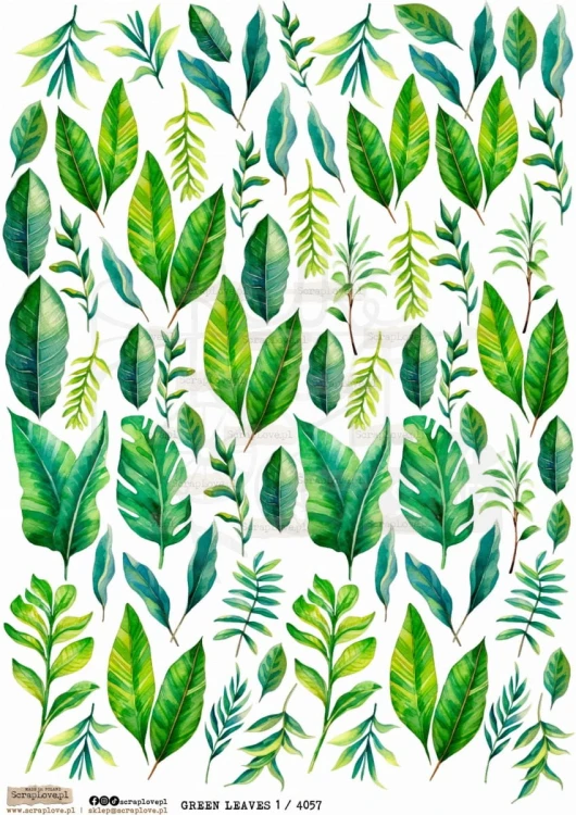 Papier ryżowy do decoupage A4 Green Leaves 1 PR4057 ScrapLove