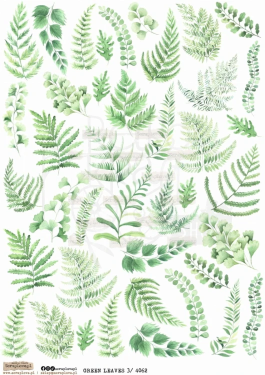 Papier ryżowy do decoupage A4 Green Leaves 3 PR4062 ScrapLove