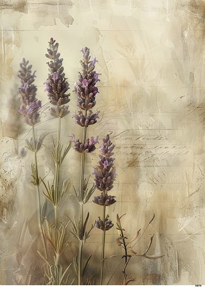 Papier ryżowy do decoupage A4 Lawenda 8470