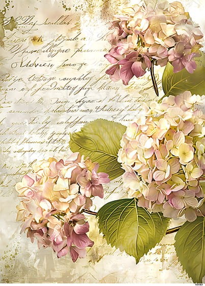 Papier ryżowy do decoupage A4 Hortensja retro 10192