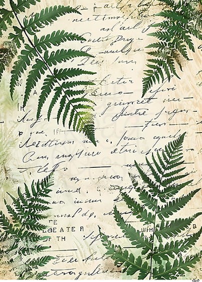 Papier ryżowy do decoupage A4 Liście paproci 10217