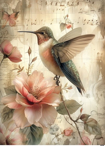 Papier ryżowy do decoupage A5 Ptak koliber retro 10259