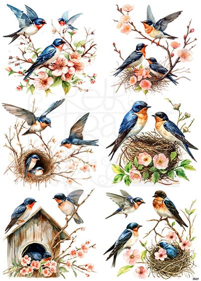 Papier ryżowy do decoupage A4 Letnie ptaszki 3539