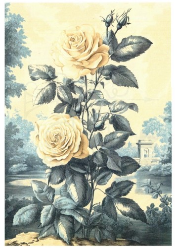 Papier ryżowy do decoupage 24x33 Josephine 3 LBD458 LaBlanche