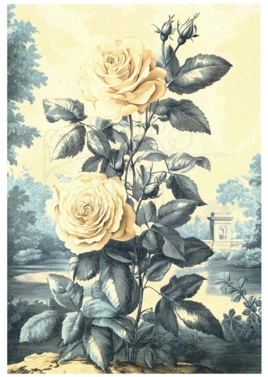 Papier ryżowy do decoupage 24x33 Josephine 3 LBD458 LaBlanche