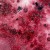 Pigment Magical Shaker 2.0 Rosewood Rouge 10g MSHAKER-059 Lindy's