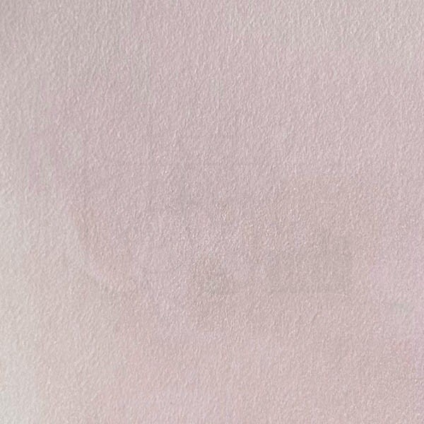 Pigment Magical Shaker 2.0 Dreamy Desert Rose 10g MSHAKER-055 Lindy's