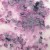 Pigment Magical Shaker 2.0 Wanderlust Wisteria 10g MSHAKER-052 Lindy's