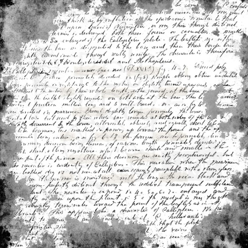 Naklejki foliowe do scrapbookingu i art journalingu Distress Background 4 ScrapLove