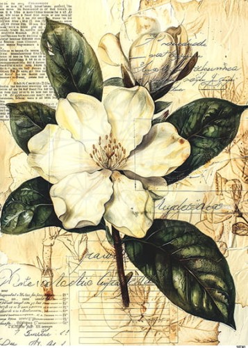 Papier ryżowy do decoupage A4 Kwiat Magnolia retro 10741