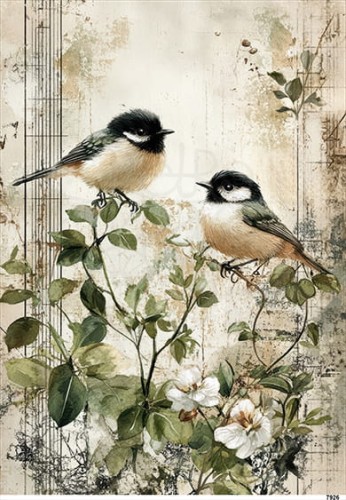 Papier ryżowy do decoupage A4 Ptaki na gałęzi 7926