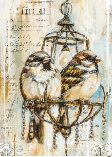 Papier ryżowy do decoupage A5 Ptaki 10657
