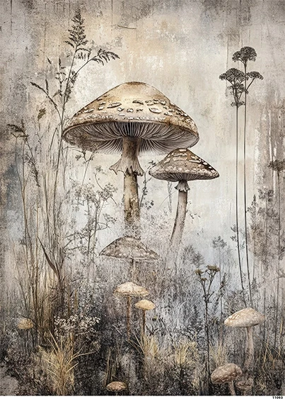 Papier ryżowy do decoupage A5 Grzyby grunge 11093